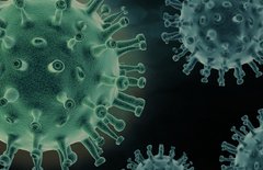 Das Corona-Virus | Pixabay/PIRO4D